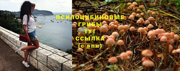 скорость Горняк