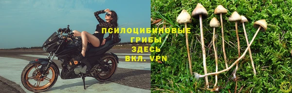 дживик Горно-Алтайск