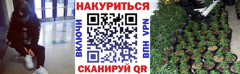 Бошки марихуана SATIVA & INDICA Городец